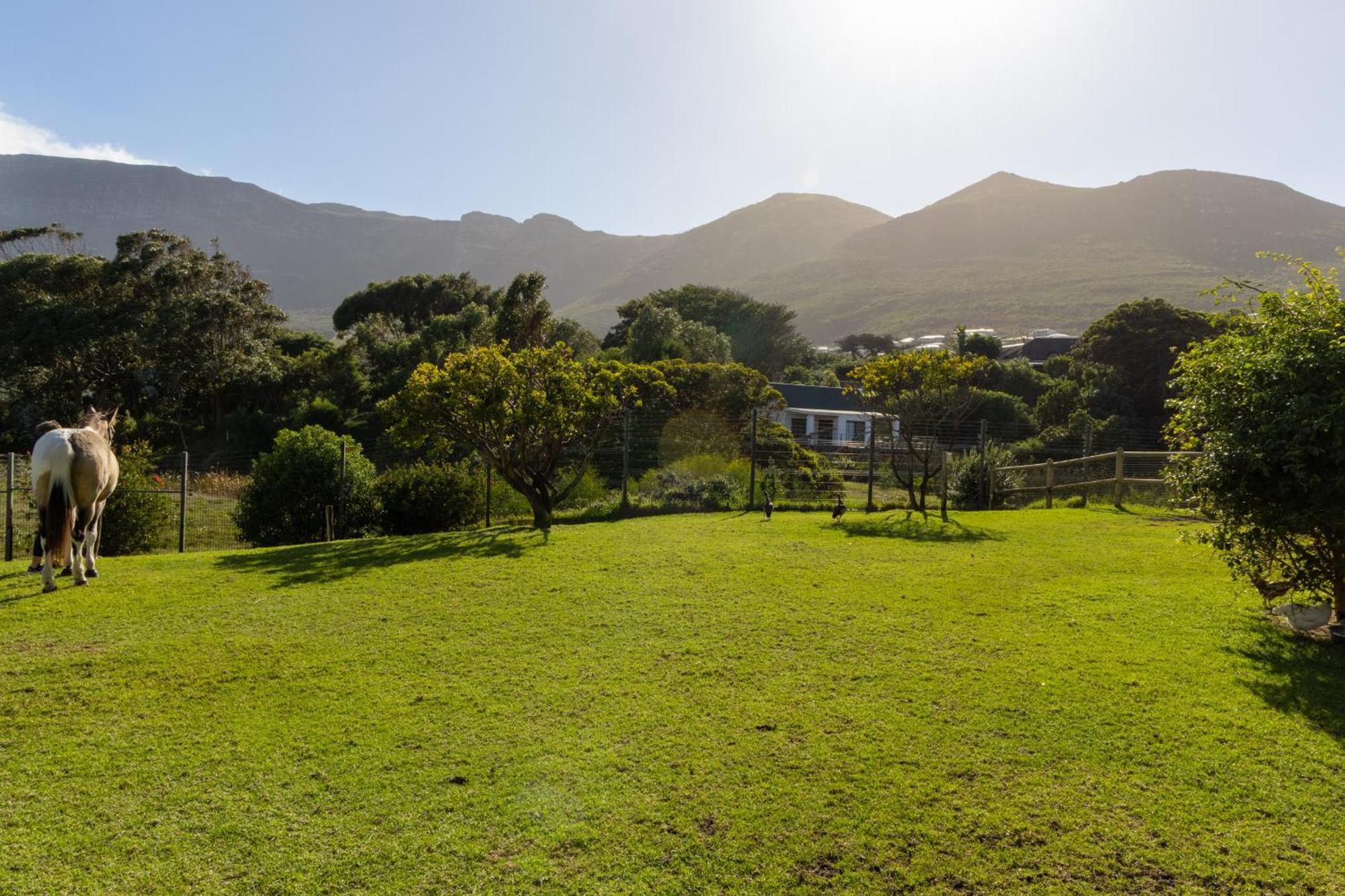 Serene, Thatched Apartment In Noordhoek, Cape Town Cidade Do Cabo Exterior foto