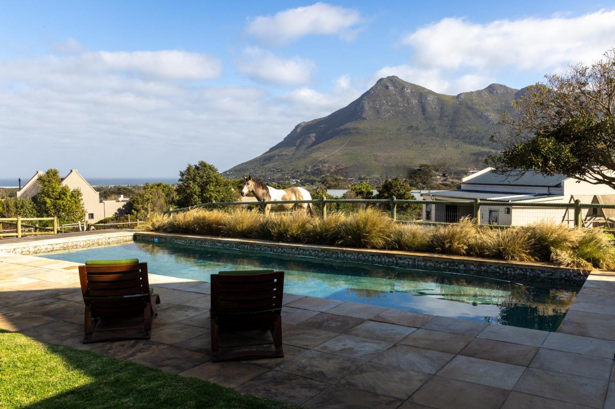 Serene, Thatched Apartment In Noordhoek, Cape Town Cidade Do Cabo Exterior foto